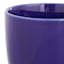 Indoor Elsie Blue Stoneware Ceramic Pot, Medium