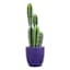 Indoor Elsie Blue Stoneware Ceramic Pot, Medium