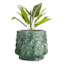 Found & Fable Adam Green Ceramic Bowl Outdoor Planter, Small