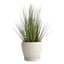 Embossed White Indoor Ceramic Planter with Saucer, Medium