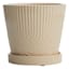 Indoor Tonal Rainbow Cream Pot, Medium