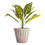 Indoor Cement Vertical Lines Pot, Medium