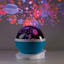 LED Outer Space Projector Light, 6"