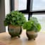 Honeybloom Indoor Green Ombre Footed Ceramic Pot, Extra Small