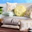 Honeybloom Tan Checkered Lumbar Outdoor Throw Pillow, 14x24