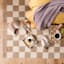 (B871) Honeybloom Brown & Natural Checkered Jute Area Rug, 8x10