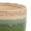 Honeybloom Indoor Green Ombre Footed Ceramic Pot, Small