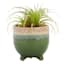 Honeybloom Indoor Green Ombre Footed Ceramic Pot, Small