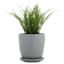 Indoor Grey Embossed Ceramic Pot with Saucer, Medium