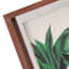 Found & Fable Framed Leaf Print Block, 6x8