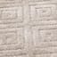 (D604) Waterford Ronin Parchment Area Rug, 5x7