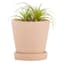 Indoor Rainbow Evening Pink Ceramic Pot, Small