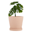 Indoor Rainbow Evening Pink Ceramic Pot, Medium