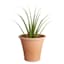 Japi Siena Neutral Outdoor Planter, Large