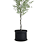 Japi Versailles Black Round Outdoor Planter, Medium