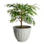 Providence White Siena Outdoor Planter, Large