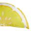 Lemon Slice Outdoor Throw Pillow, 14x26