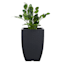 Japi All-Weather Black Modern Square Outdoor Planter, Small