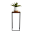 Fiona Wooden Top Plant Stand with Metal Base, Medium