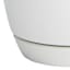 Indoor Elsie White Stoneware Ceramic Pot, Small