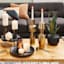 Crosby St. Sansevieria in Black Pot, 17"