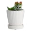 Indoor White Buttoned Up Ceramic Pot, Small