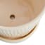 Indoor Tonal Rainbow Cream Pot, Small