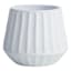 Indoor White Convex Pot, Medium