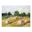 Honeybloom Hay Field Canvas Wall Art, 18x24