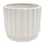 Indoor White Wave Cylinder Ceramic Planter, Medium