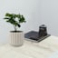 Indoor White Wave Cylinder Ceramic Planter, Medium
