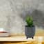 Indoor Grey Ceramic Face Pot, Extra Small