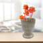 Indoor Mini Ceramic Face Pot with Bow, 4"
