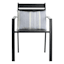 Calisto Pin Stripe Lumbar Outdoor Throw Pillow, 14x20