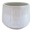 Indoor Ivory Lines Ceramic Planter, 5x4