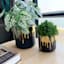 Crosby St. Indoor Gold Drip Black Planter, 4.7"