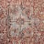 (A447) Capstone Rust Traditional Design Area Rug, 5x7
