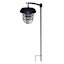 2-Pack 10-Lumen Solar Black Sheppard Hook Pathway Lights