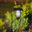 2-Pack 10-Lumen Solar Black Sheppard Hook Pathway Lights