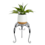 Black Metal Plant Stand, Medium