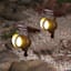 50-Lumen Brown Smartfocus Spotlight