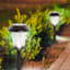 5-Lumen Solar Brown Dotted Glass Pathway Light