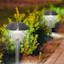 6-Lumen Solar Silver Abby Pathway Light