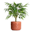 Indoor Blush Reactive Glaze Diamond Planter, Large