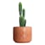 Indoor Blush Reactive Glaze Diamond Pot, Medium