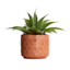 Indoor Blush Reactive Glaze Diamond Planter, Small
