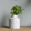 Ty Pennington White Embossed Ceramic Vase, 7"