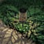 Solar Laser Cut Leaves Lantern Pathway Light