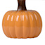 Orange Ceramic Mini Pumpkin Lamp, 12"