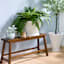 Providence Indoor Mint Cabbage Planter, 4.3"